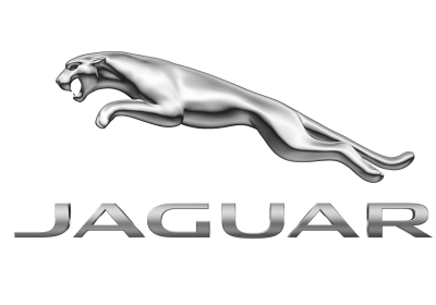 Jaguar Jaguar